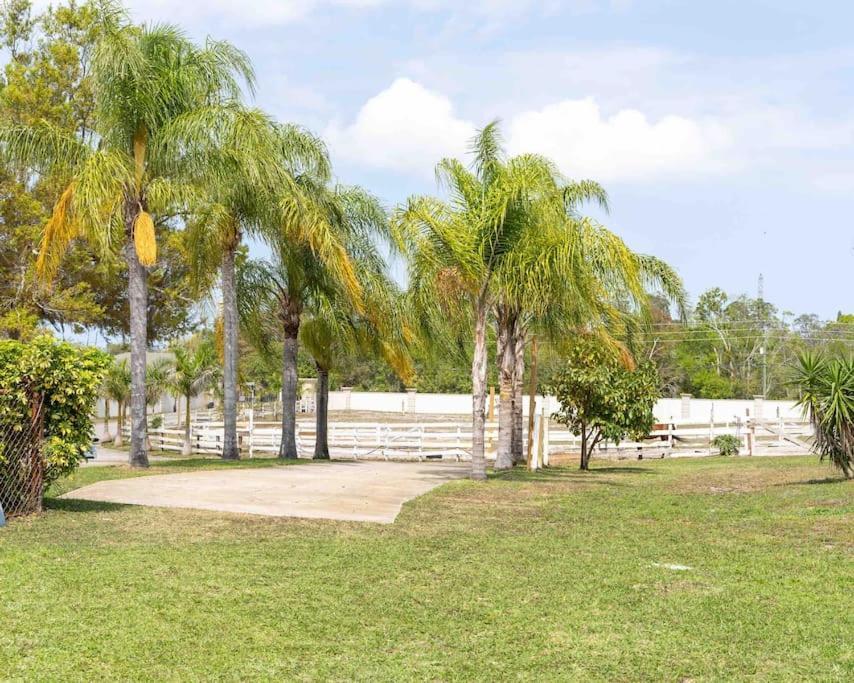 Tampa Bay Oasis Apartment Tarpon Springs Bagian luar foto