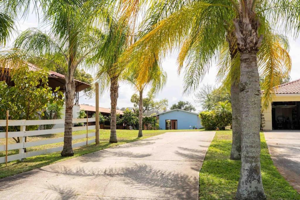 Tampa Bay Oasis Apartment Tarpon Springs Bagian luar foto