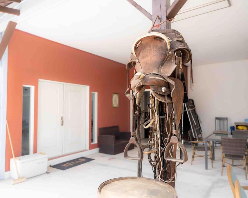 Tampa Bay Oasis Apartment Tarpon Springs Bagian luar foto