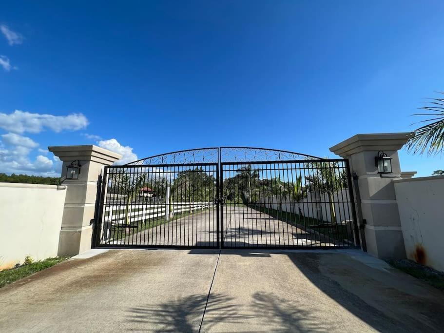 Tampa Bay Oasis Apartment Tarpon Springs Bagian luar foto