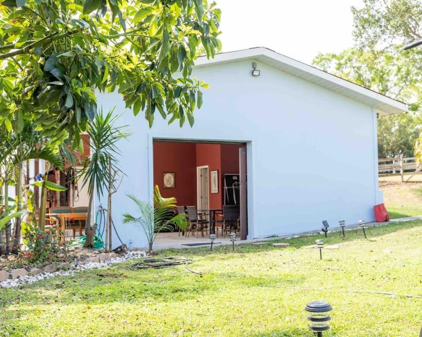 Tampa Bay Oasis Apartment Tarpon Springs Bagian luar foto