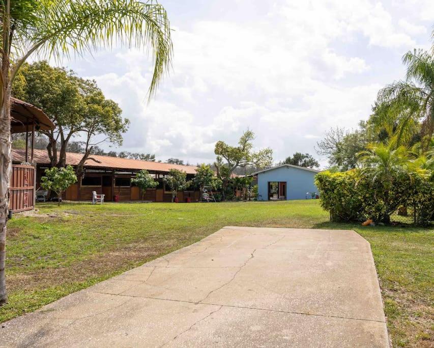 Tampa Bay Oasis Apartment Tarpon Springs Bagian luar foto